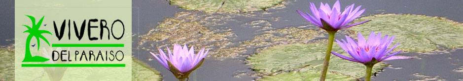 vivero del para&iacute;so